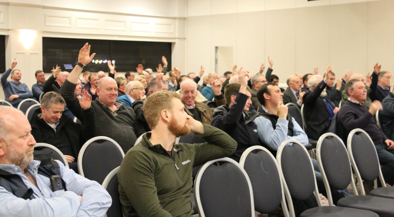 Pedigree group to propose radical TB eradication trials in Northern Ireland