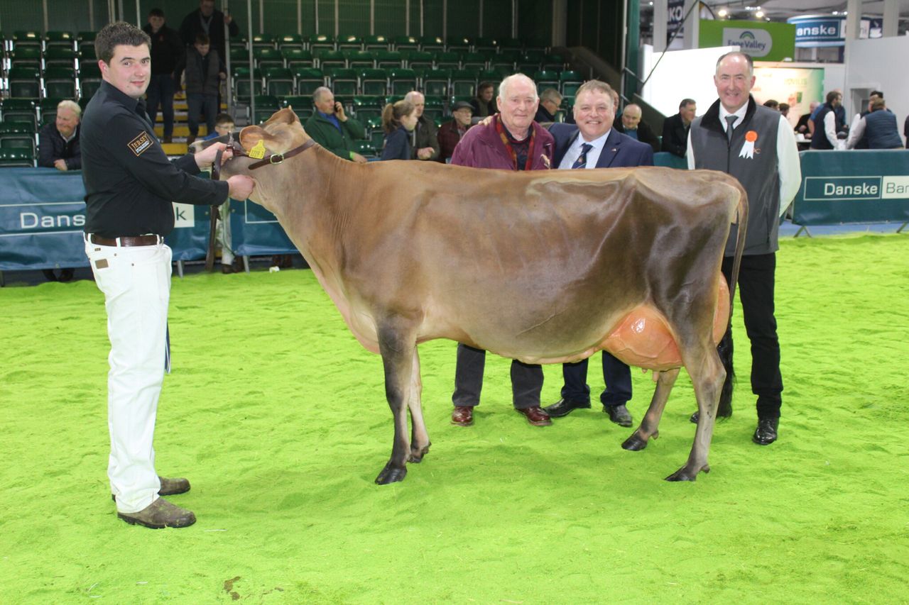 Results: ‘Very special cow’ wins 2022 RUAS Winter Fair