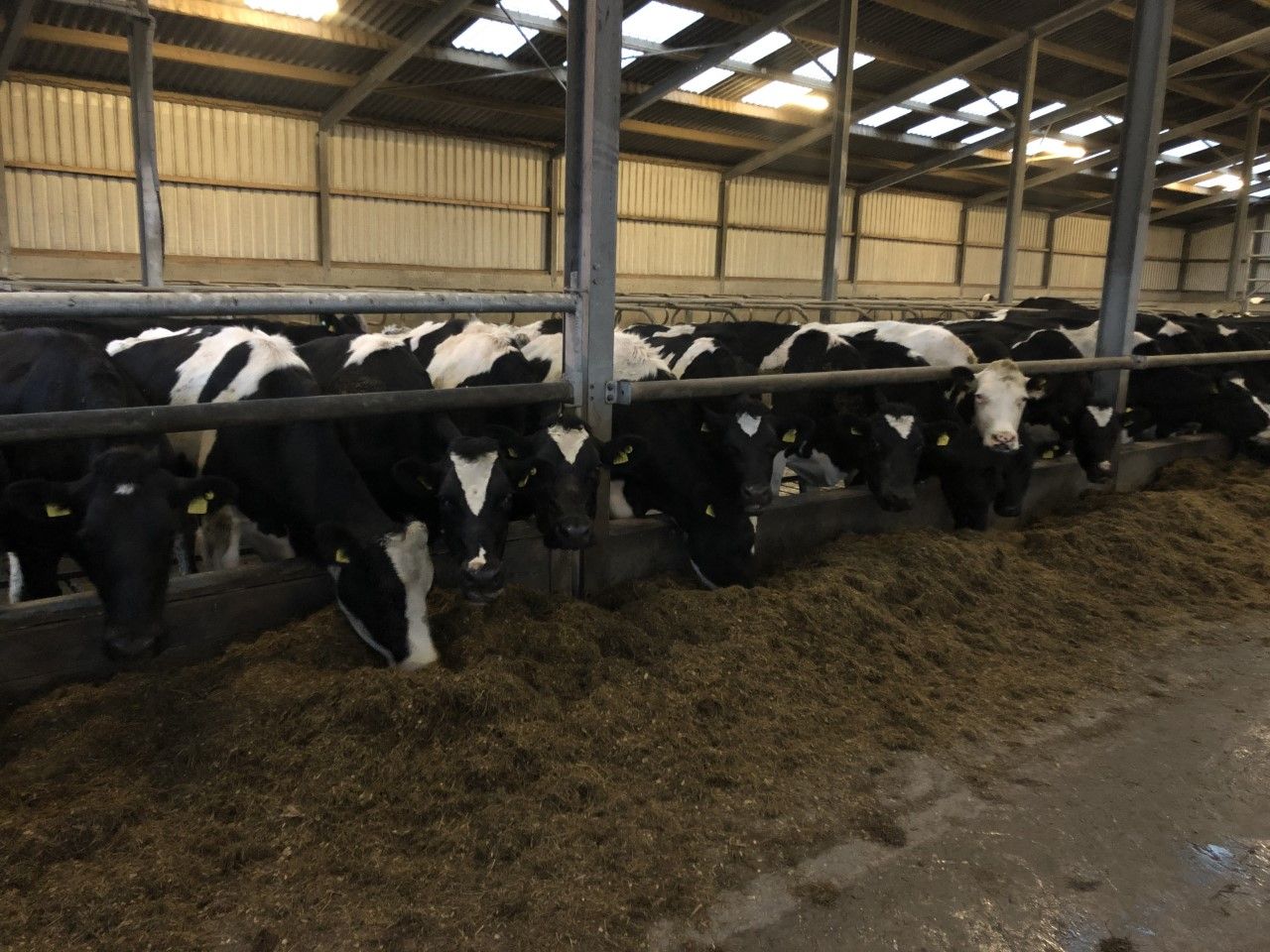 John Deere and DeLaval create joint Milk Sustainability Center