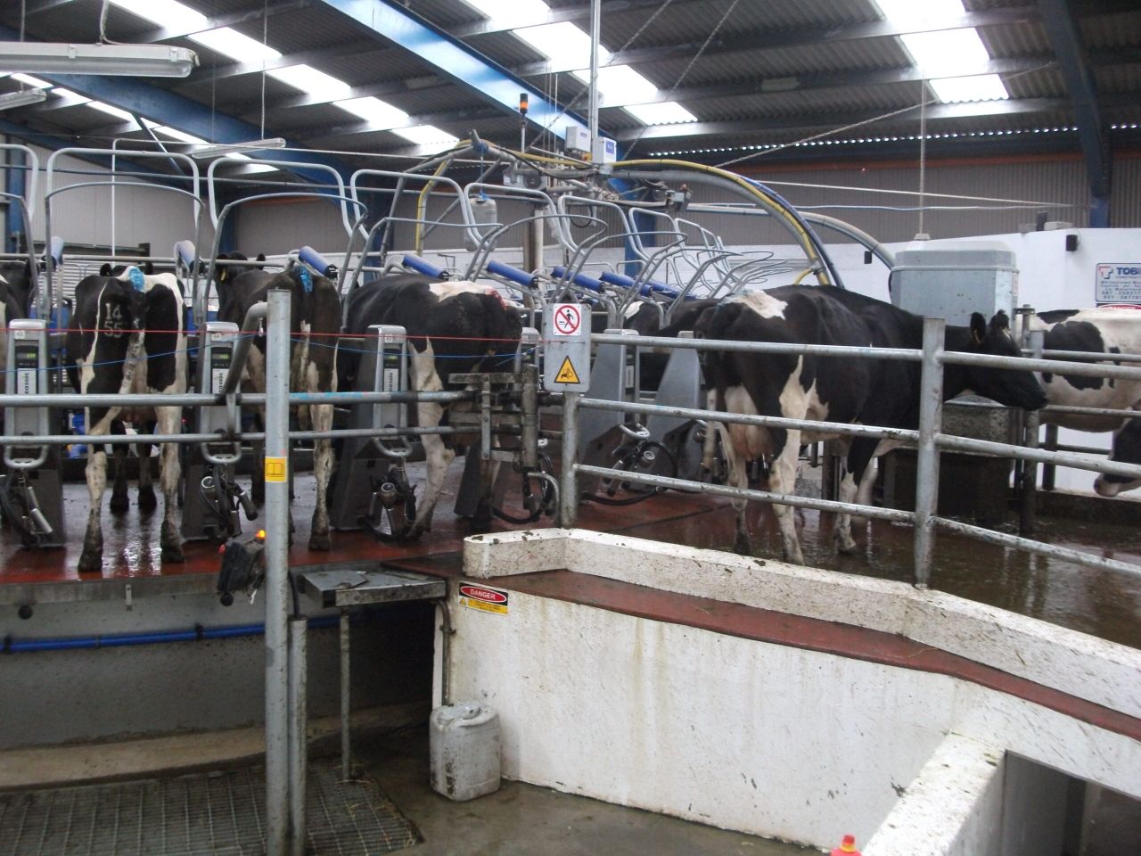Dairy analysis: Strong supplies and weaker exports put pressure on spot prices