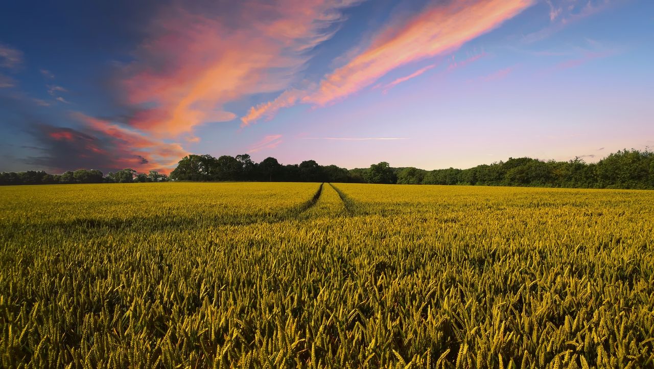 Crop care company raises €1.2m in financing
