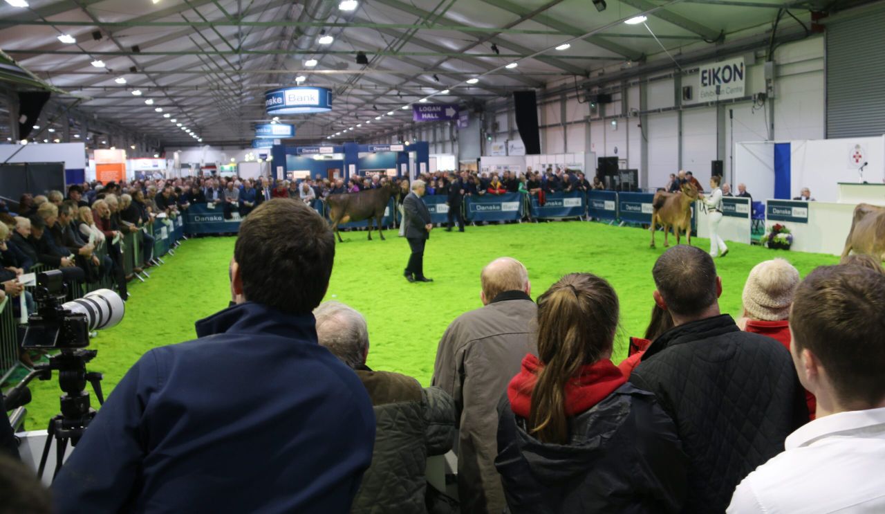 Winter Fair: Crowds flock to NI’s flagship dairy show