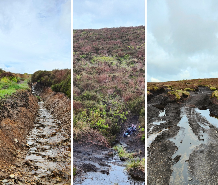 Wales: 'Severe damage' caused by off-road vehicles in Wrexham