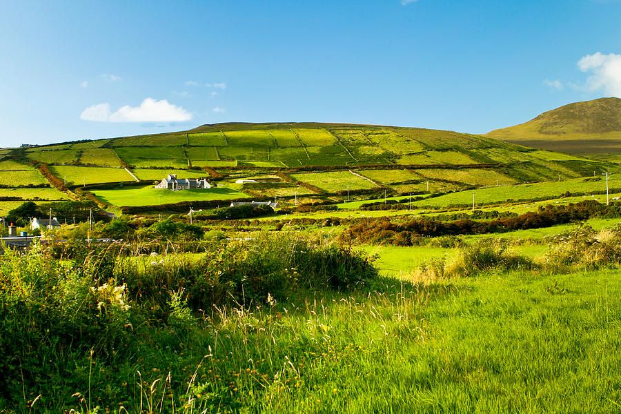 Hundreds of farmers expected to demonstrate at Stormont over climate bill