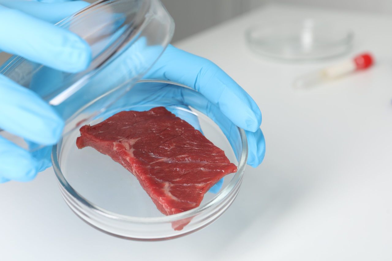 Report calls for safeguards as lab-grown meat nears regulation