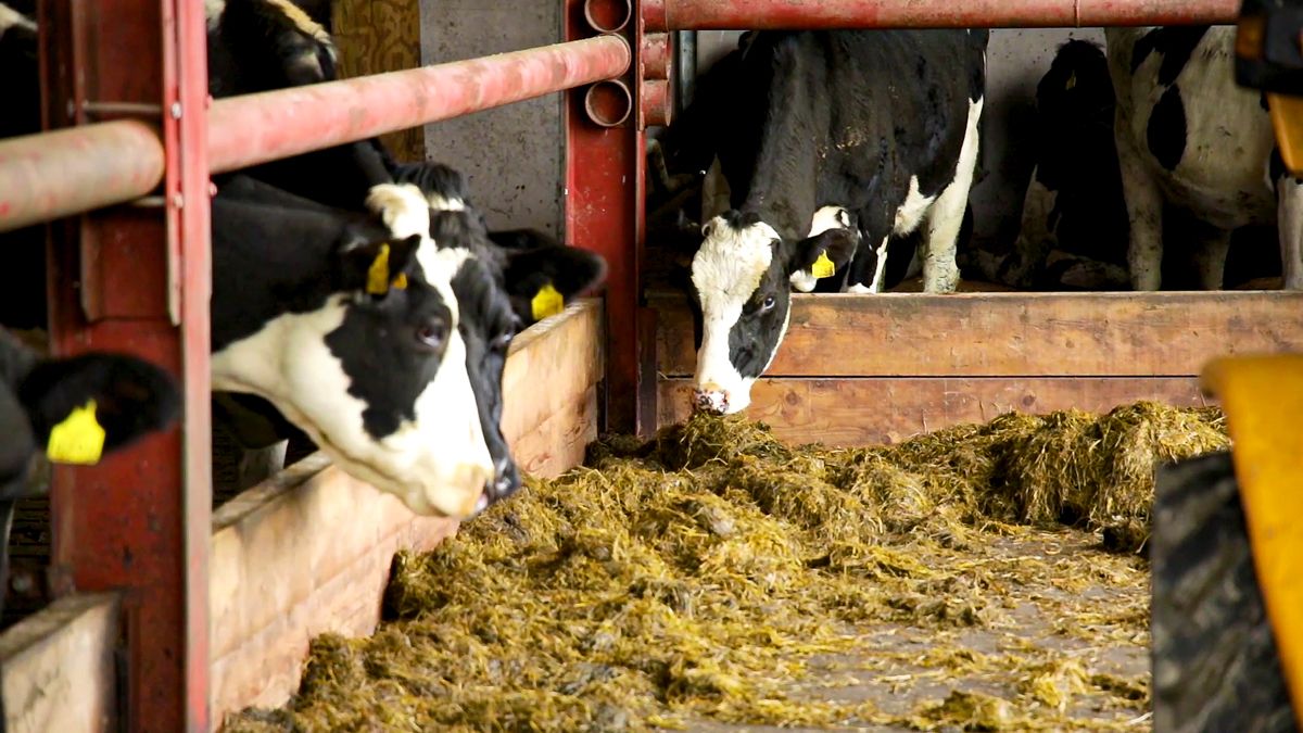 Farmers can improve environment while boosting profit - HCC