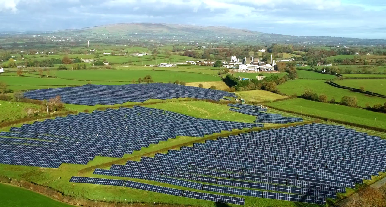 Dairy processor Dale Farm wins big at sustainability awards