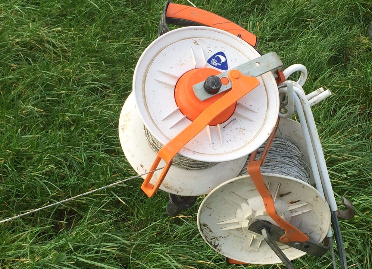 Spring grazing: Allocations can be a process of trial and error