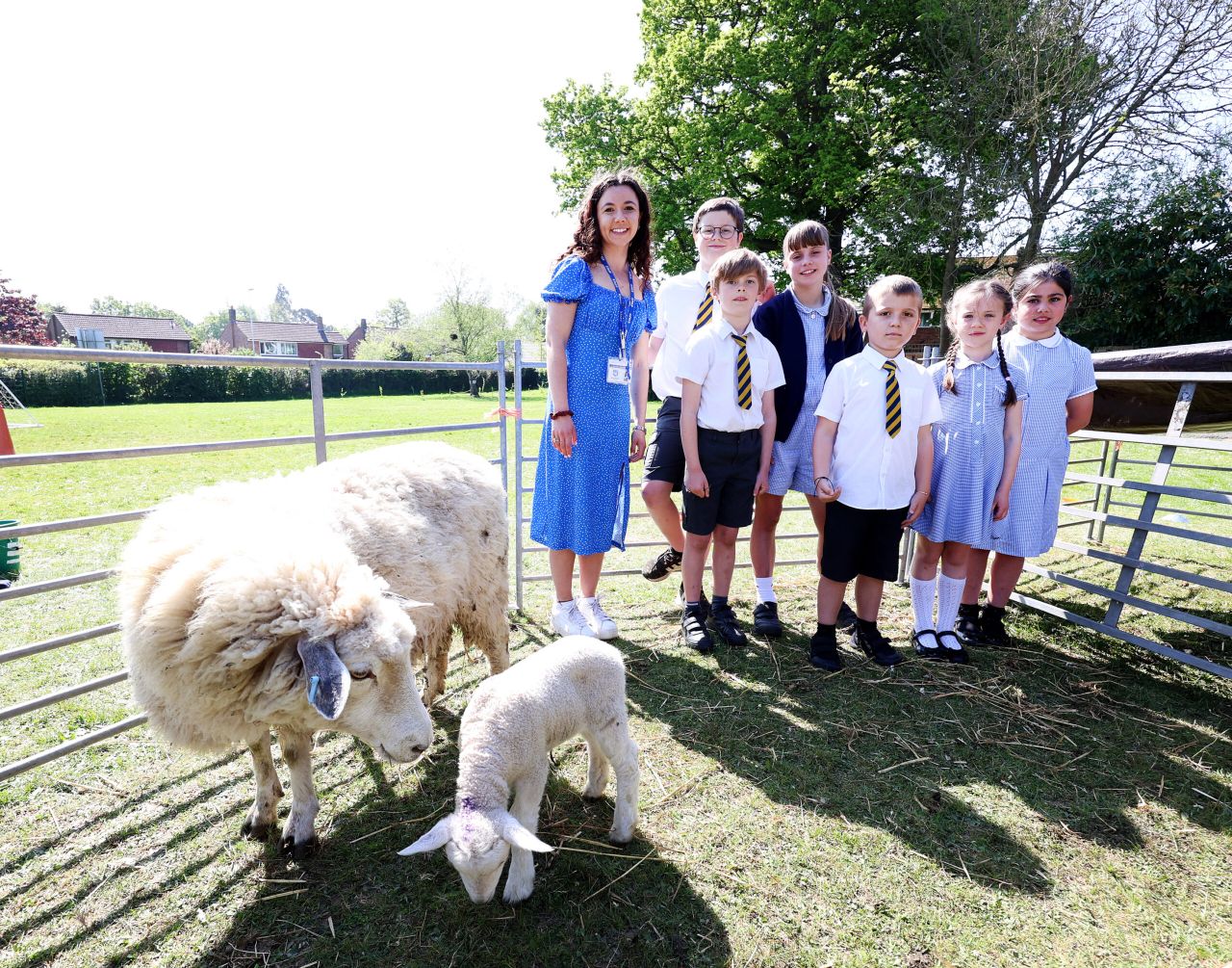 Thousands of school pupils engage in ‘Loan a Lamb’ initiative