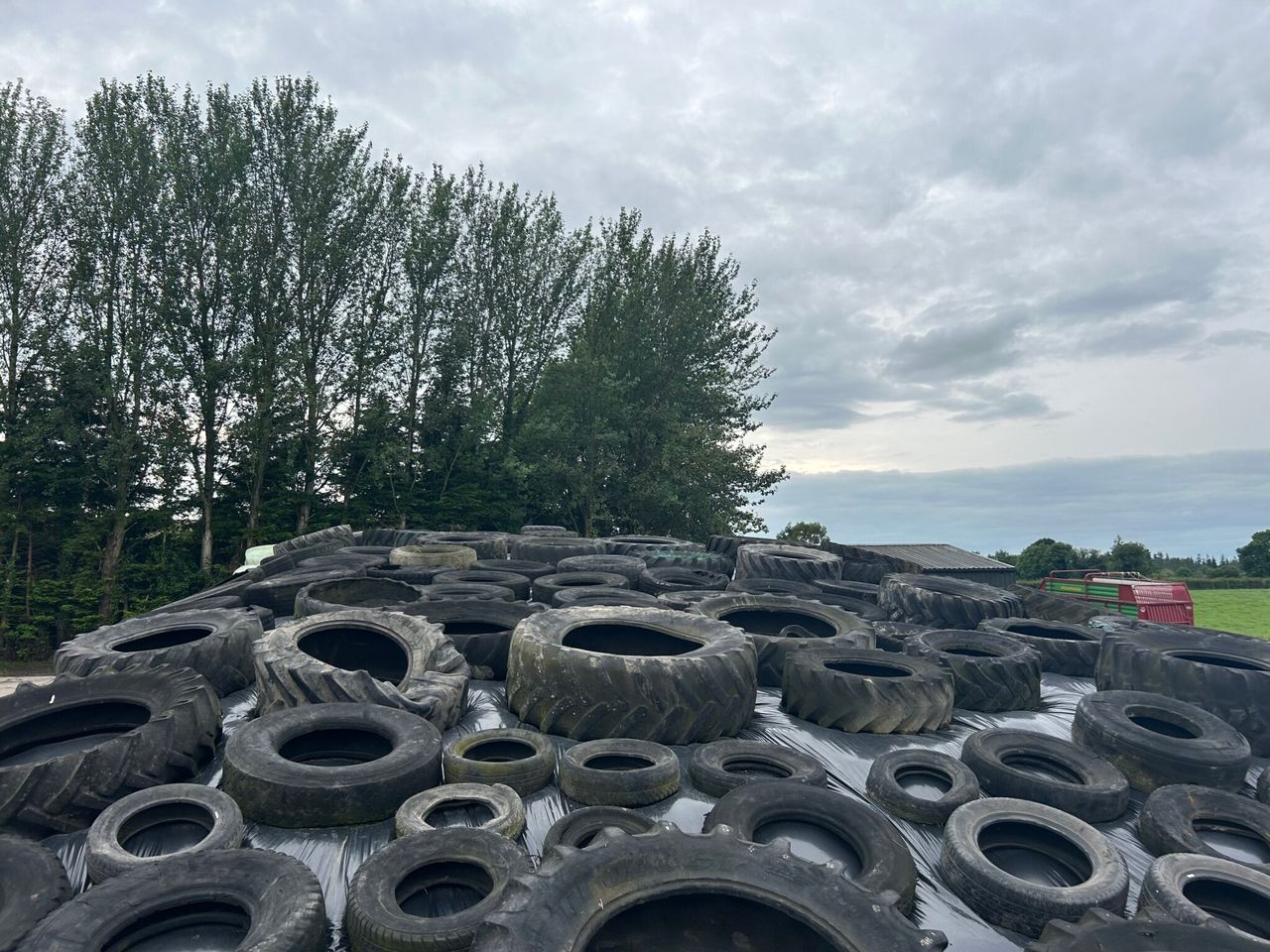 Dairy advice: Understanding silage test results