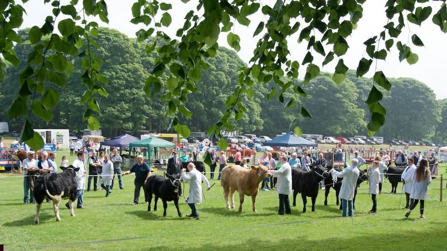 Full steam ahead for summer 2020's only agricultural show