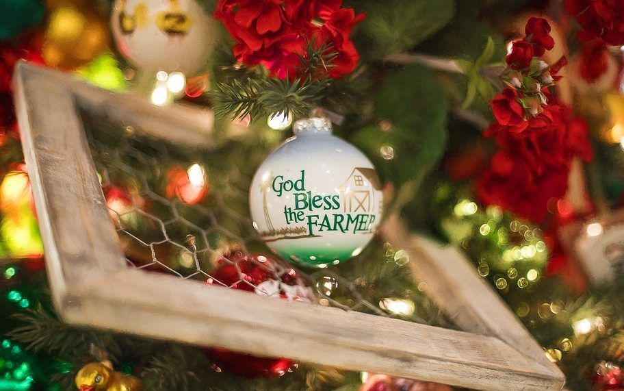 AgriLand’s ultimate Christmas gift guide