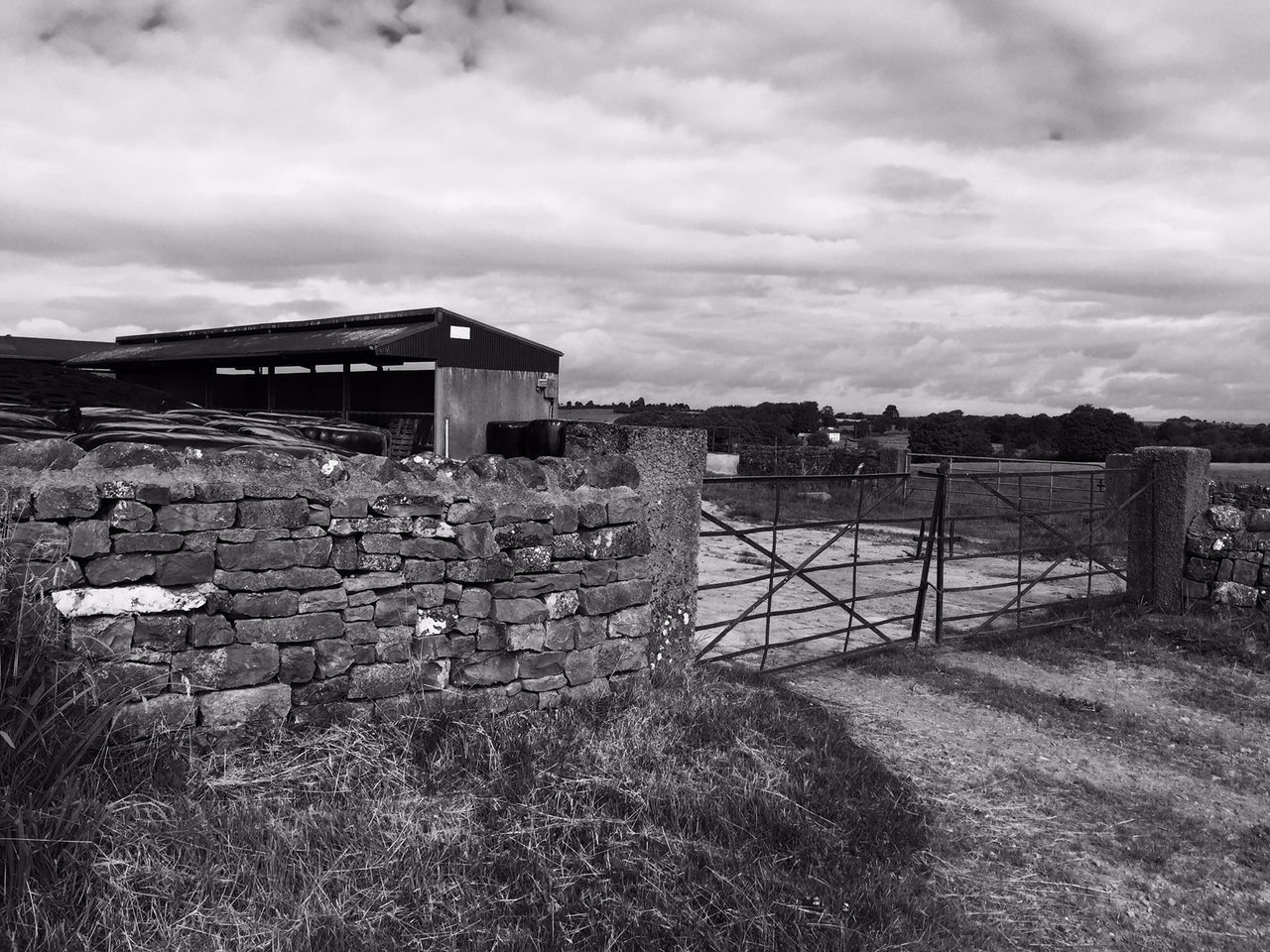 Two farmers jailed in the North for animal welfare offences