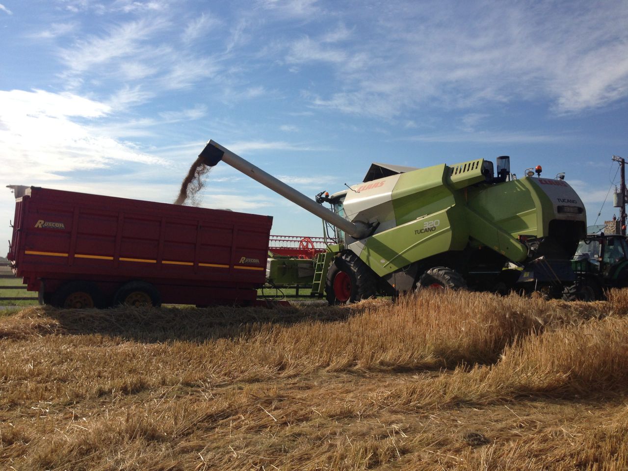 Video: Harvest 2016 gets underway with initial reports of yields down 20%