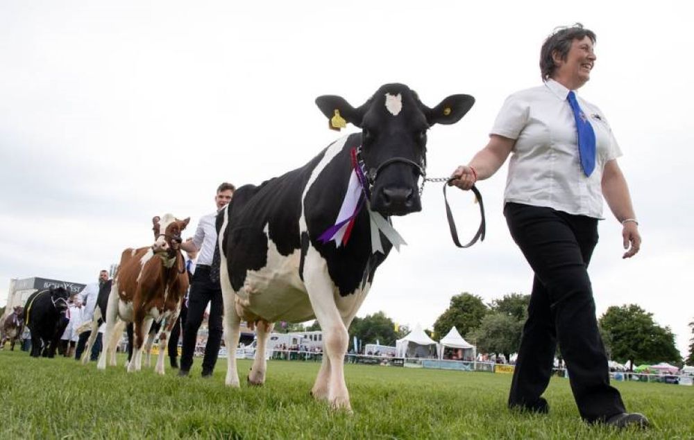 Royal Bath & West to launch new veterinary award
