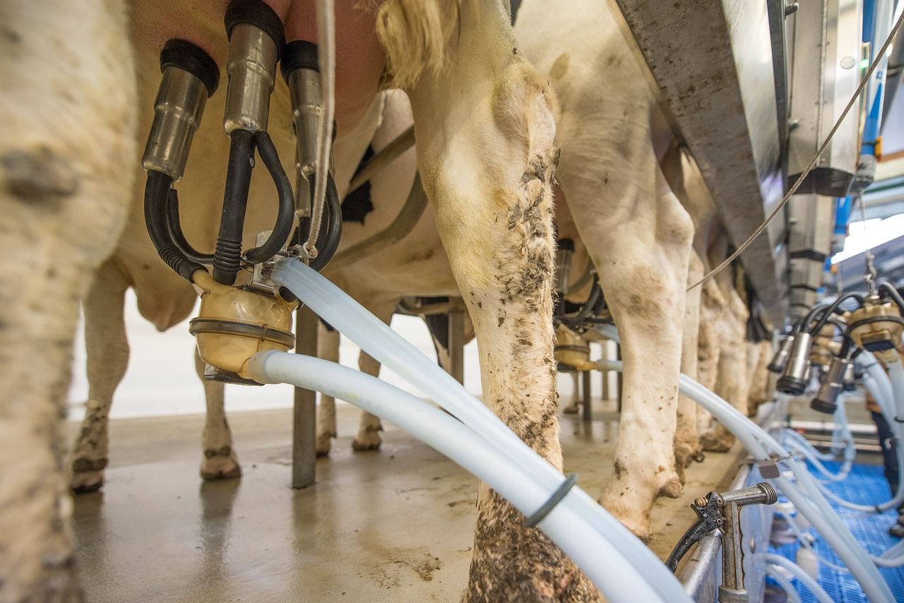 GDT price index records increase at latest event