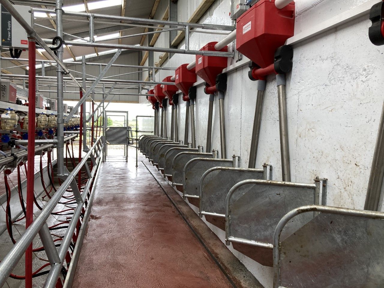 Save on feed costs by calibrating dairy parlour feeders