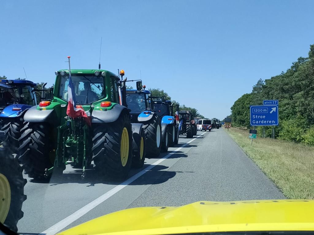 Video: Dutch police fire shots during farmer tractor protest