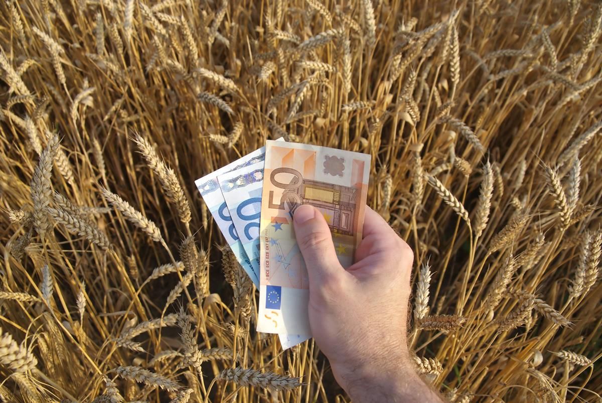 Glanbia special dividend payment now complete