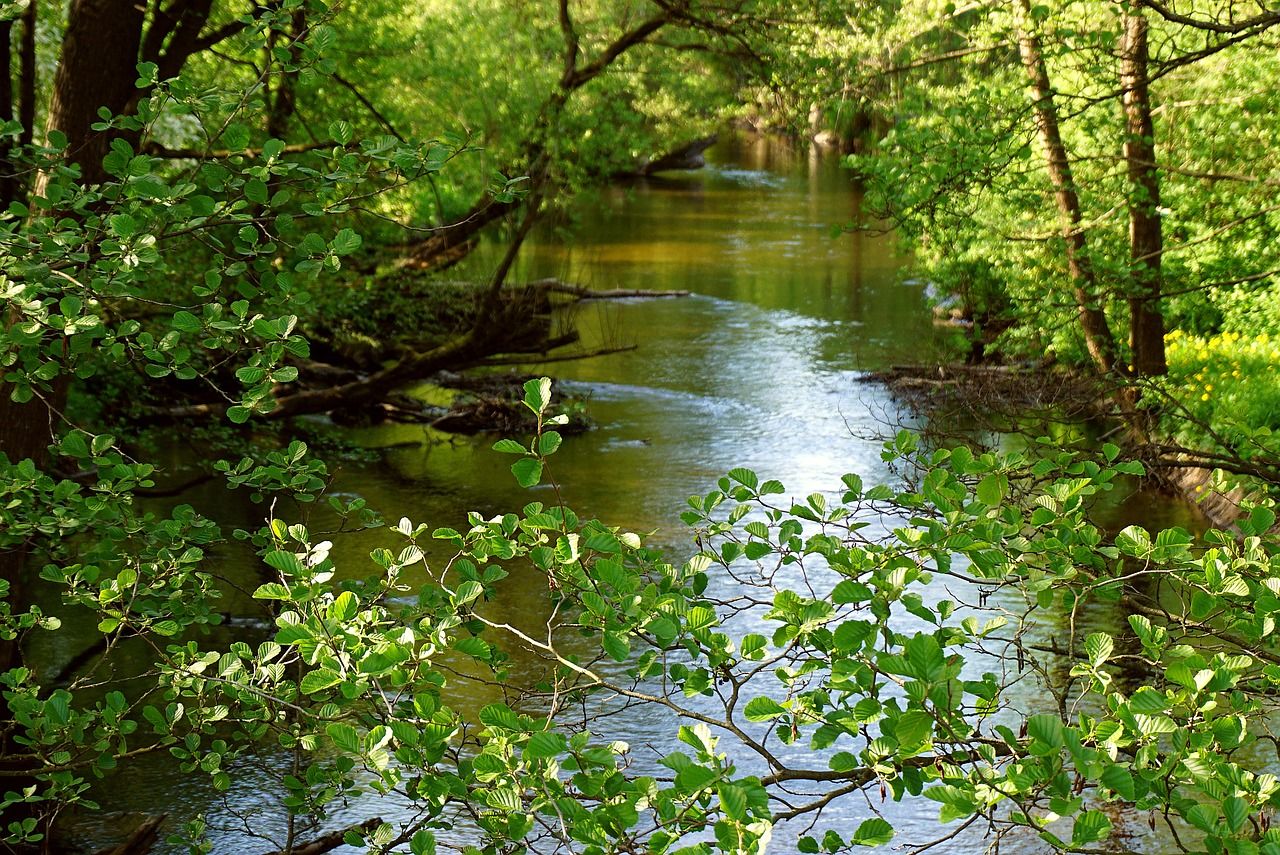 Manure management plan for River Wye will 'lead to problems elsewhere'