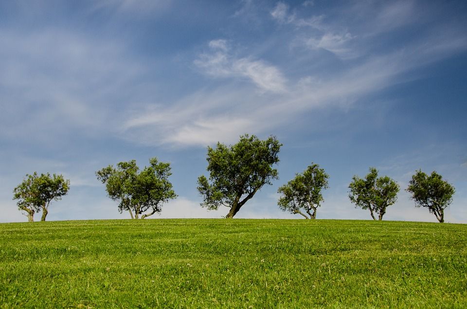 £47m to address critical environmental challenges facing the UK