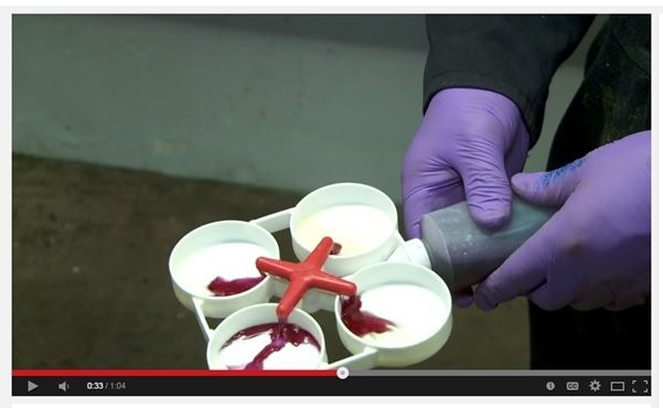 How to use the California Mastitis Test properly