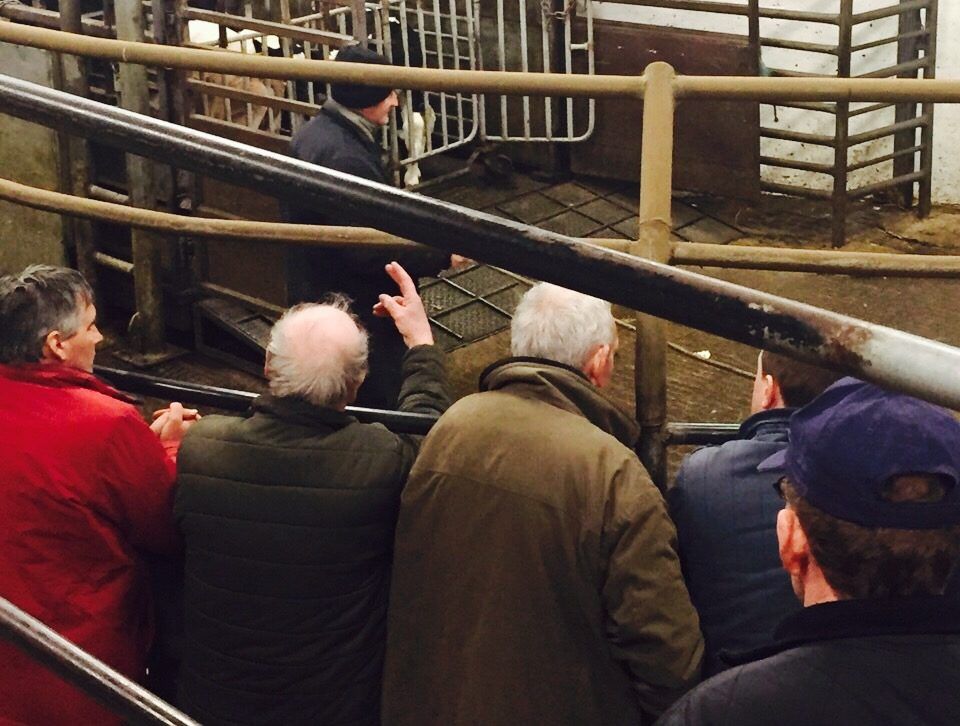Crossmaglen Mart clamps down on unannounced anthelmintics