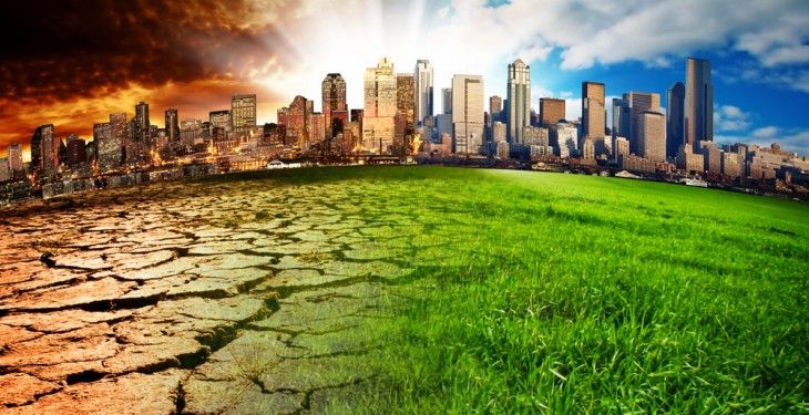 Farming for 1.5° inquiry publishes first report