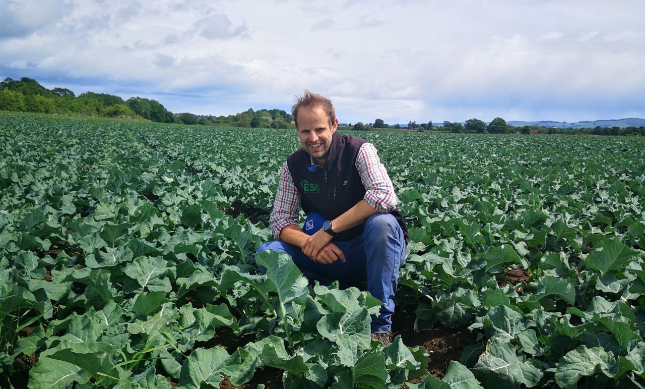 Brassicas to be focus of new AHDB strategic centre in Scotland
