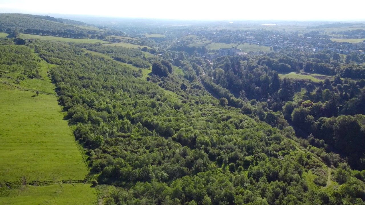 108ac woodland site for sale in west Scotland