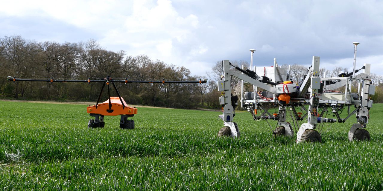 ‘Per plant farming’ with Tom, Dick and Harry