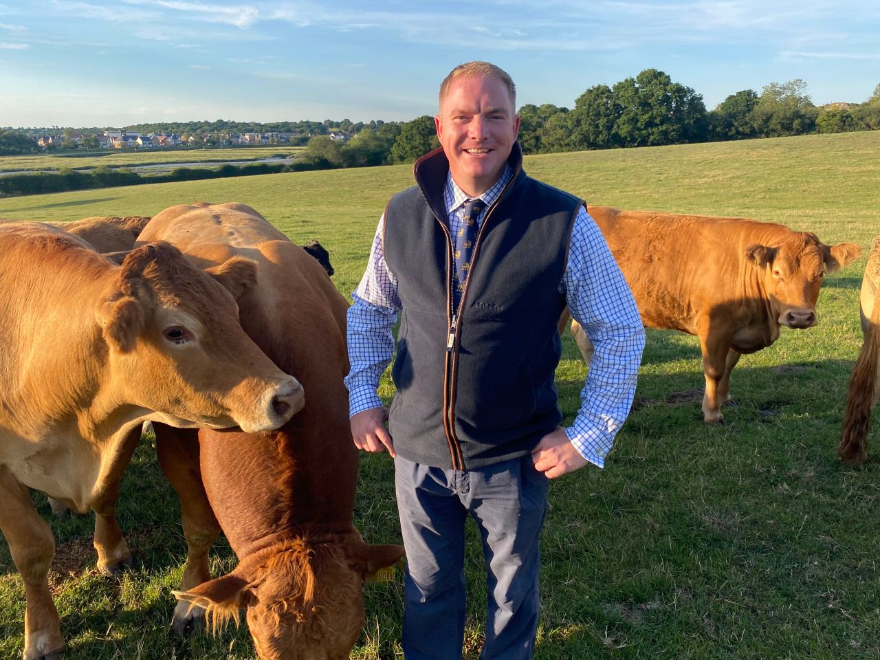 New breed secretary appointed at the British Limousin Cattle Society