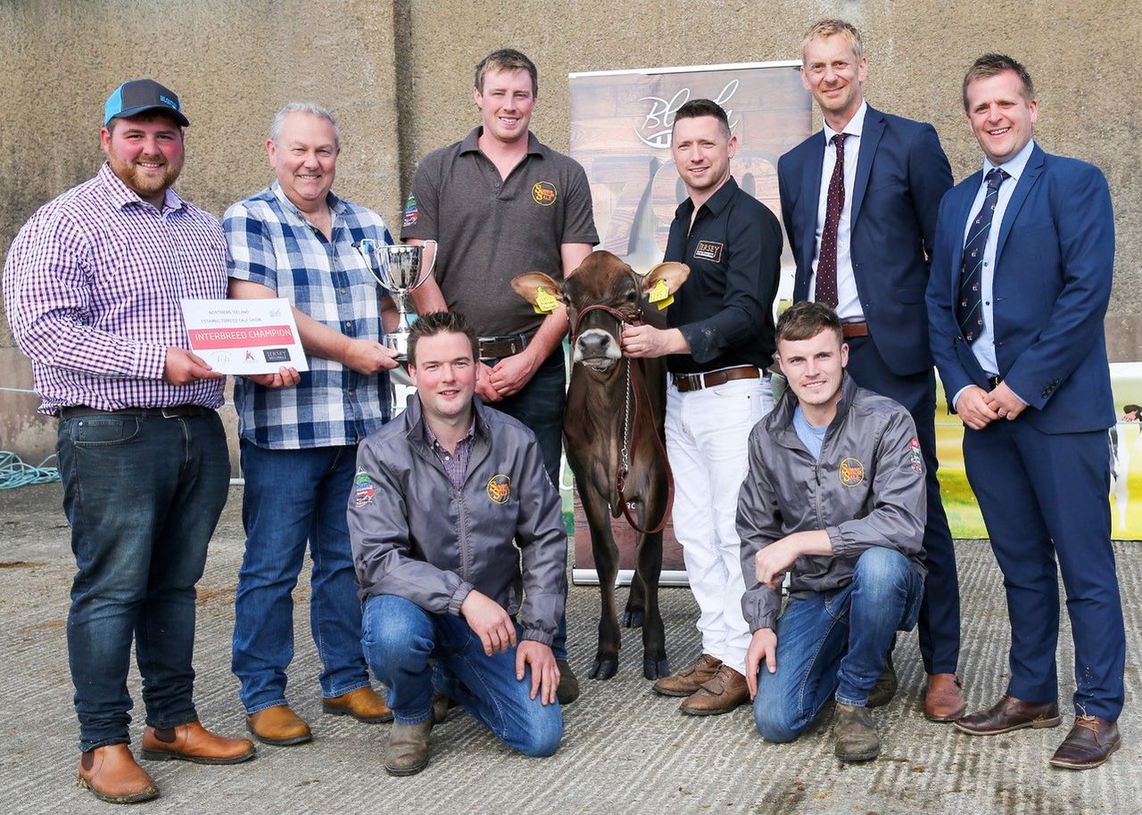 Jersey heifer comes out on top at Multi-Breed Dairy Calf Show