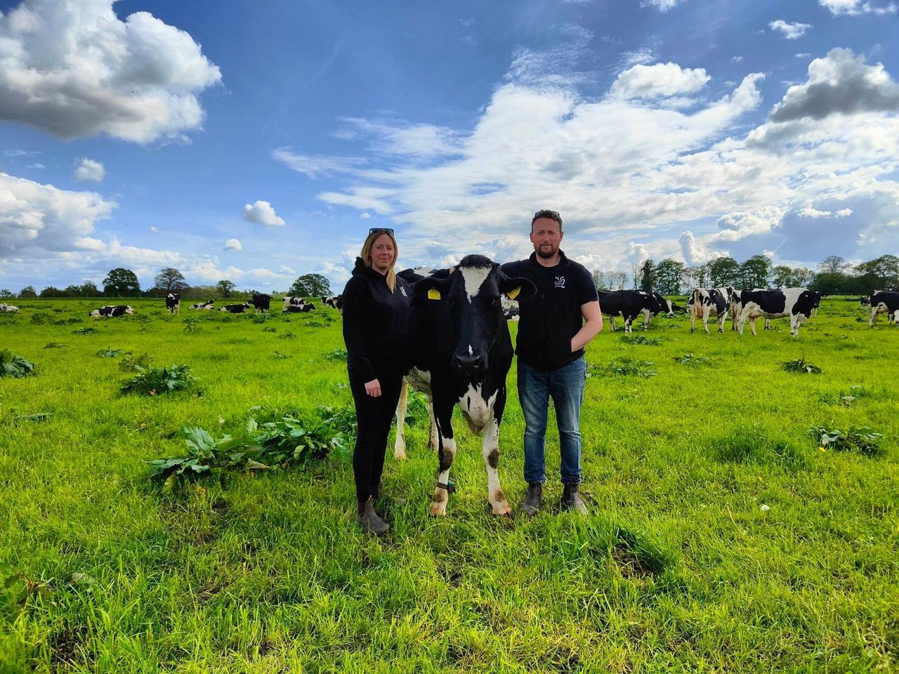 Farmers forced to put down cows after loose dog enters shed
