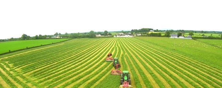 Silage video: Gobbling grass from a height