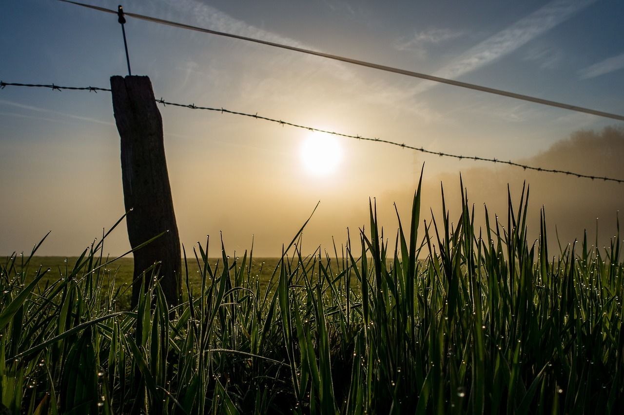 Countryside Stewardship Mid Tier scheme sees 'strong uptake' - RPA
