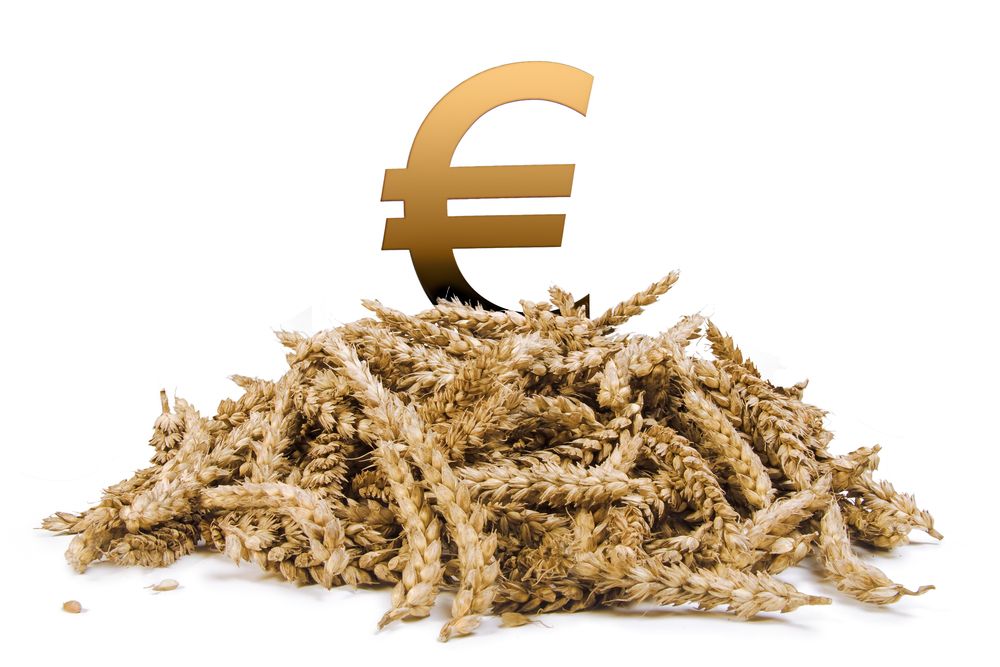 Agricultural outlook mixed - Central Bank