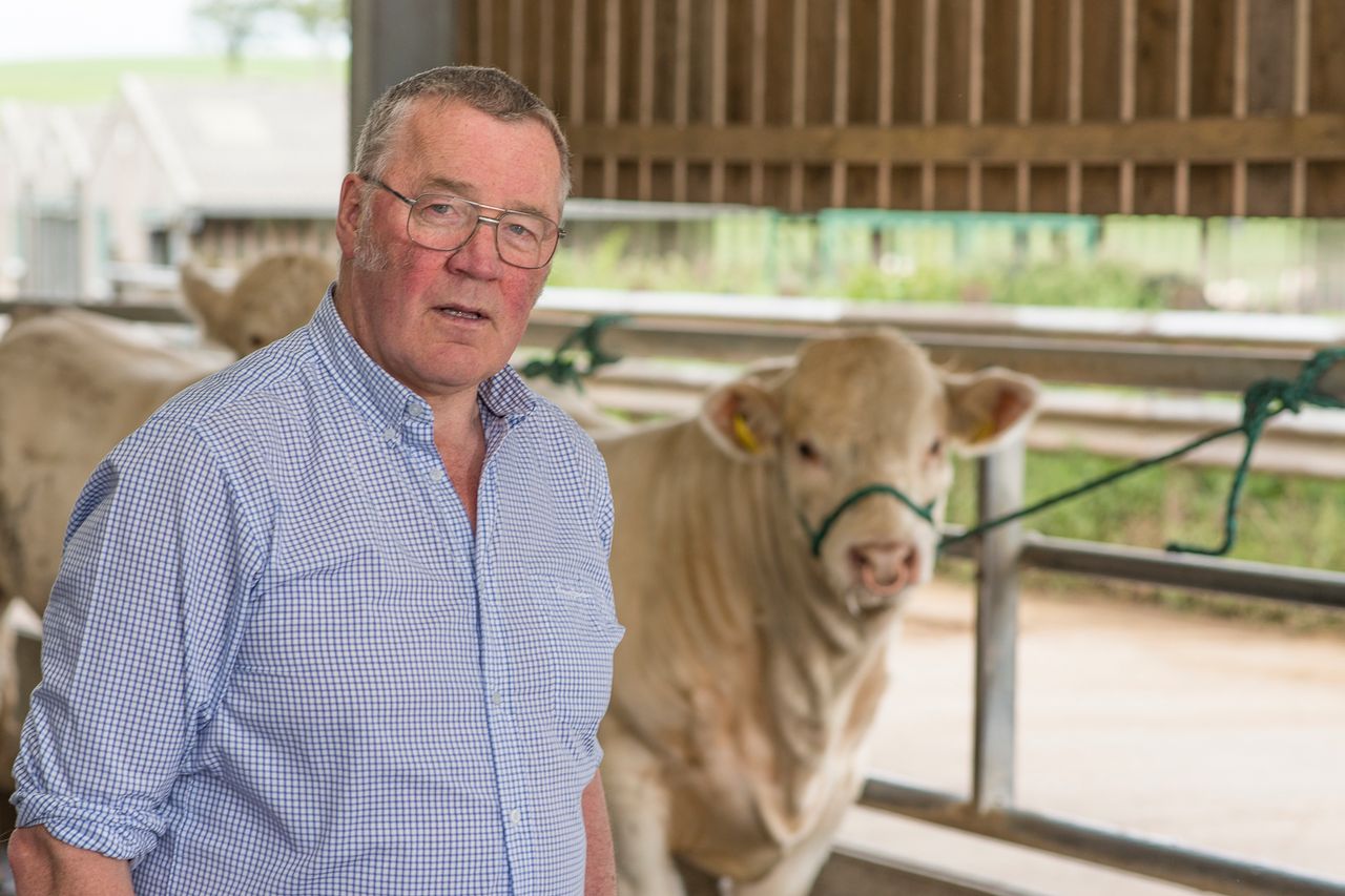 Call for greater transparency in the beef chain