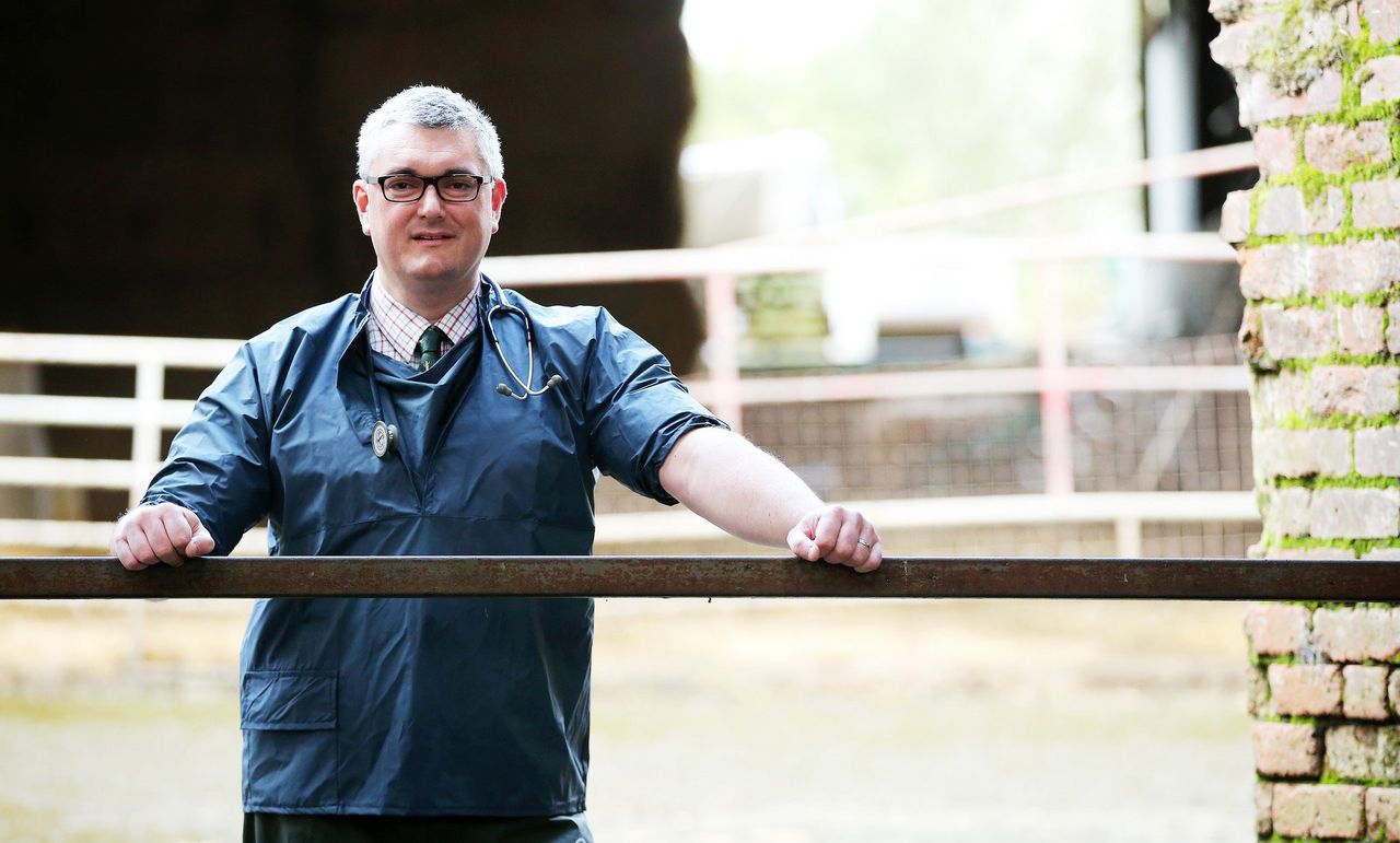 NI vet crisis looms as Brexit deadline advances