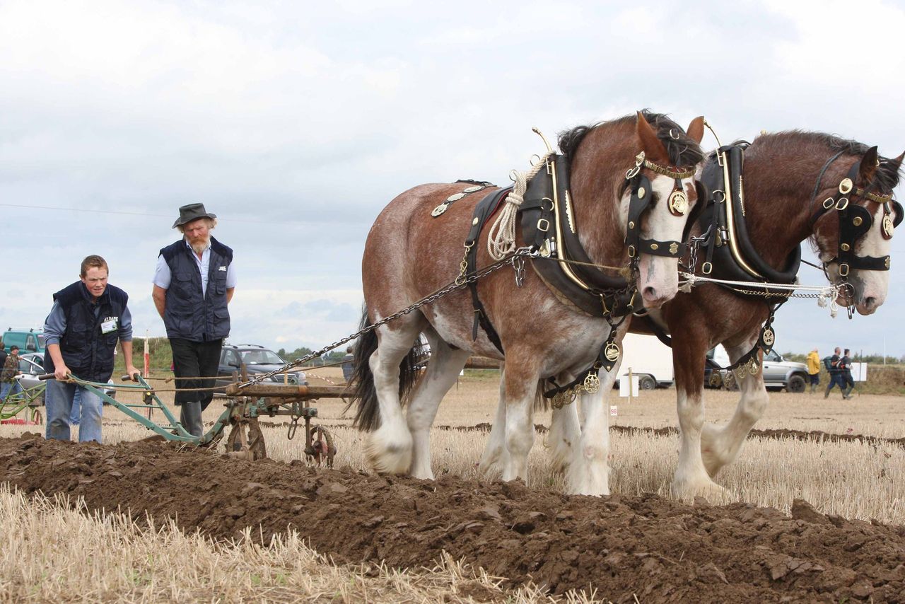 Ploughing through the years