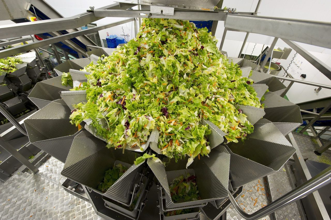 Salad giant Willowbrook secures €2.5m of additional business in ROI