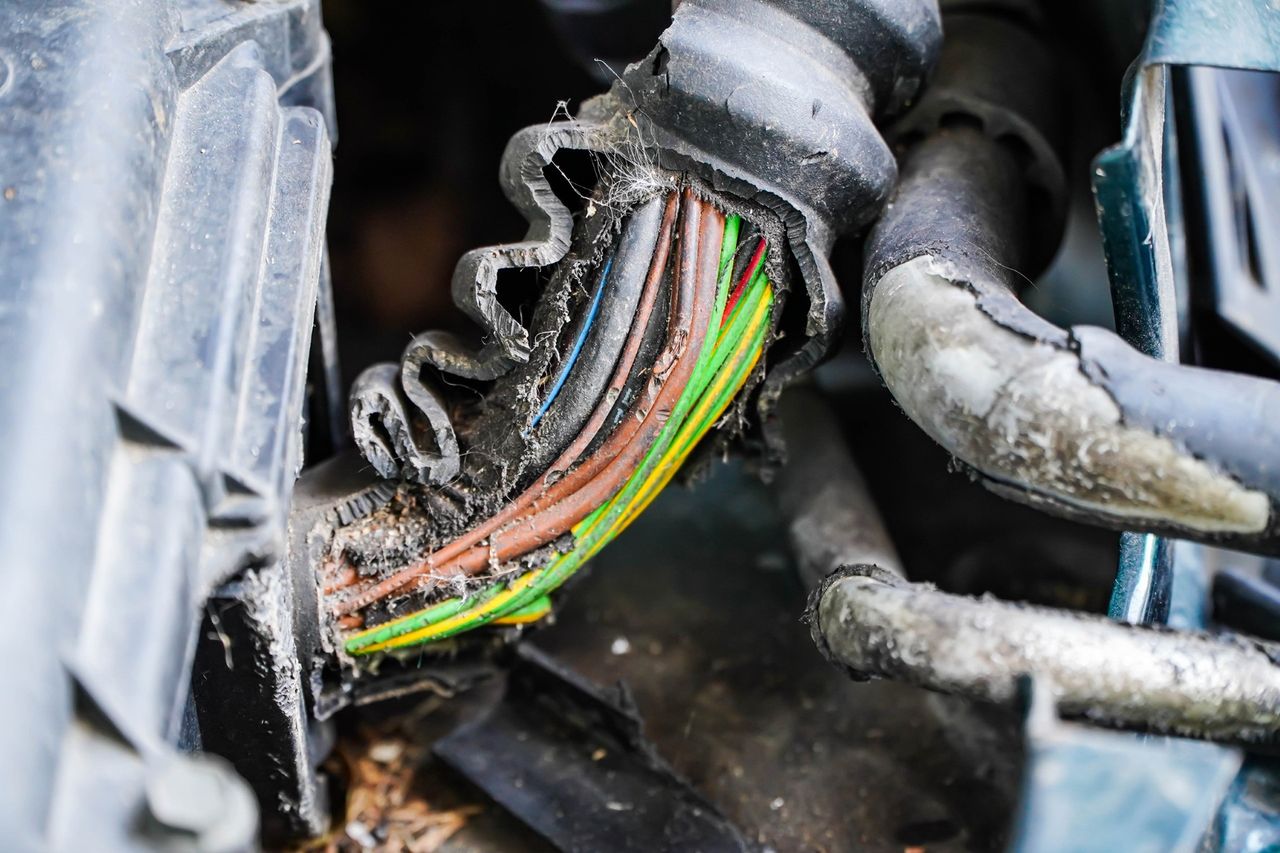 Farmers urged to protect machinery from rodent damage