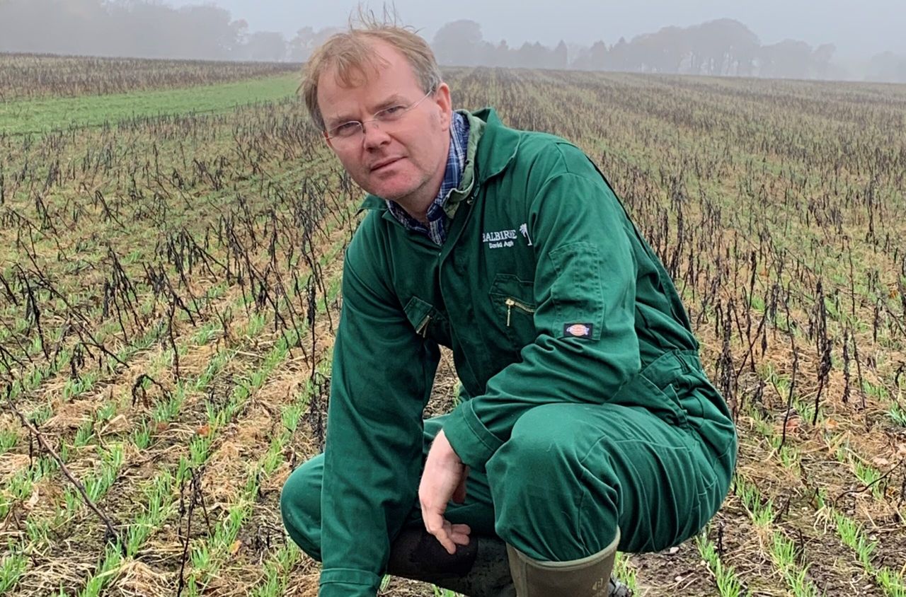 AHDB announces its first strategic cereal farm for Scotland