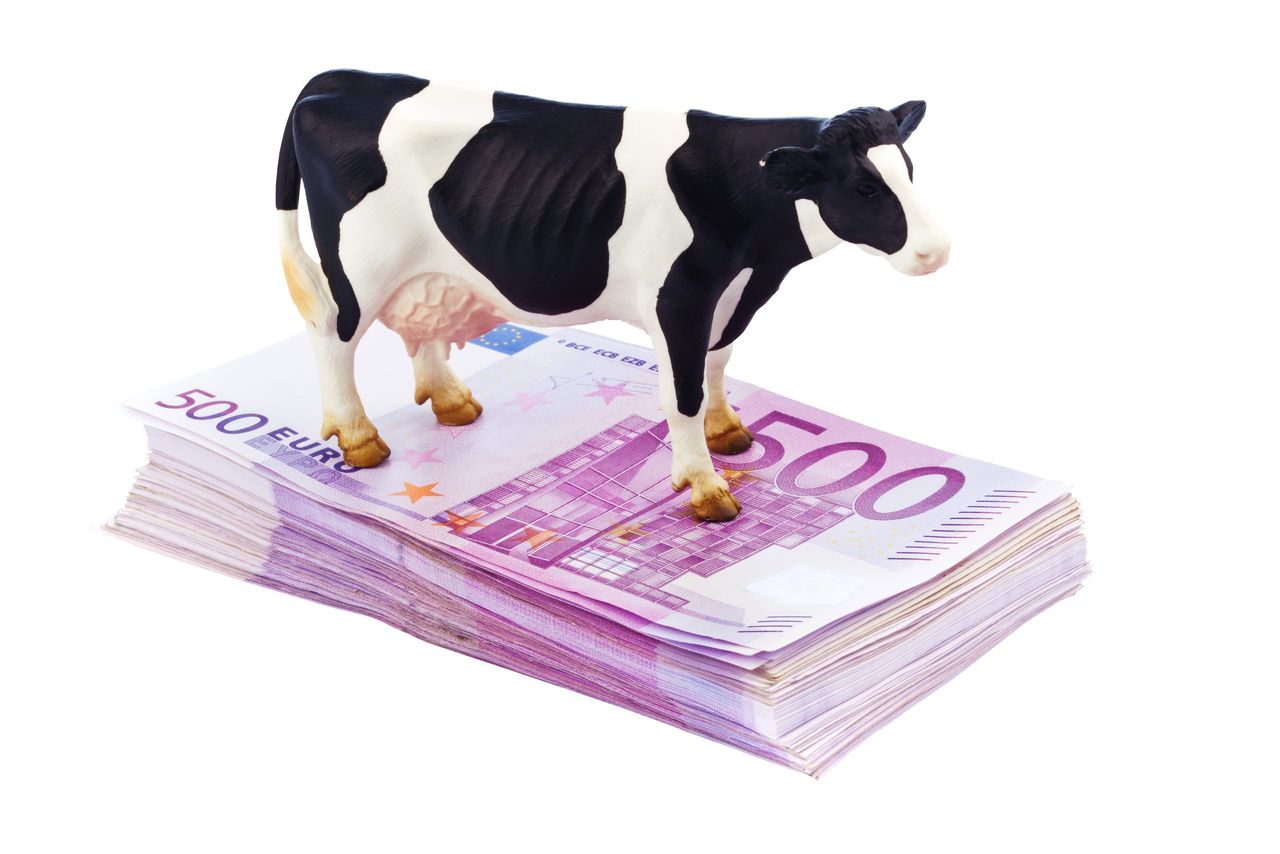 Extended opening hours to return Single Farm Payment applications