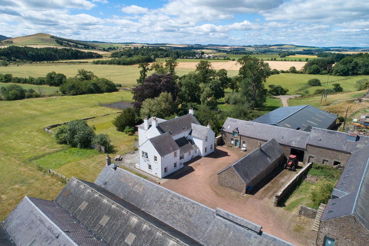 Savills brings 540ac Kelso stock farm to the market