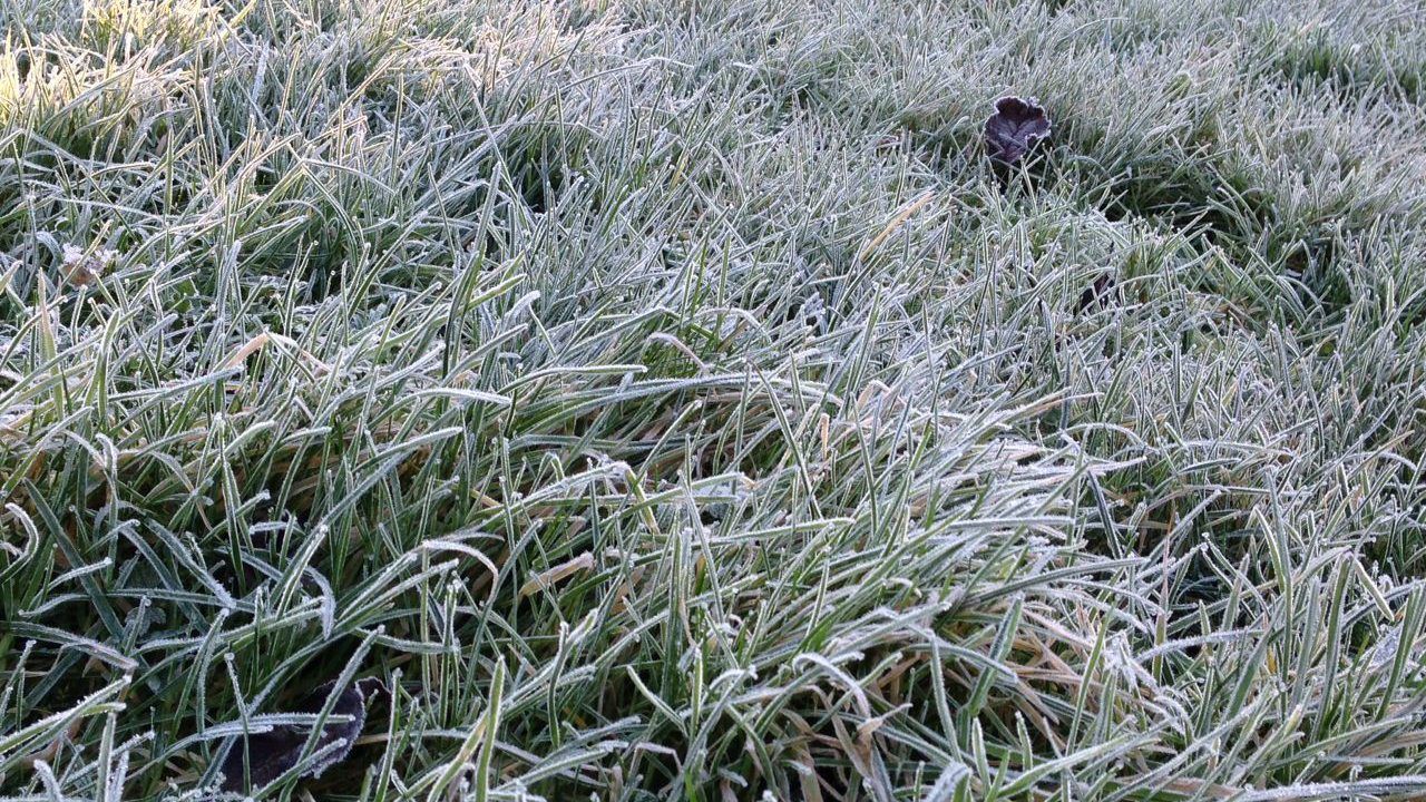Cold weather alert extended amid snow and ice warnings