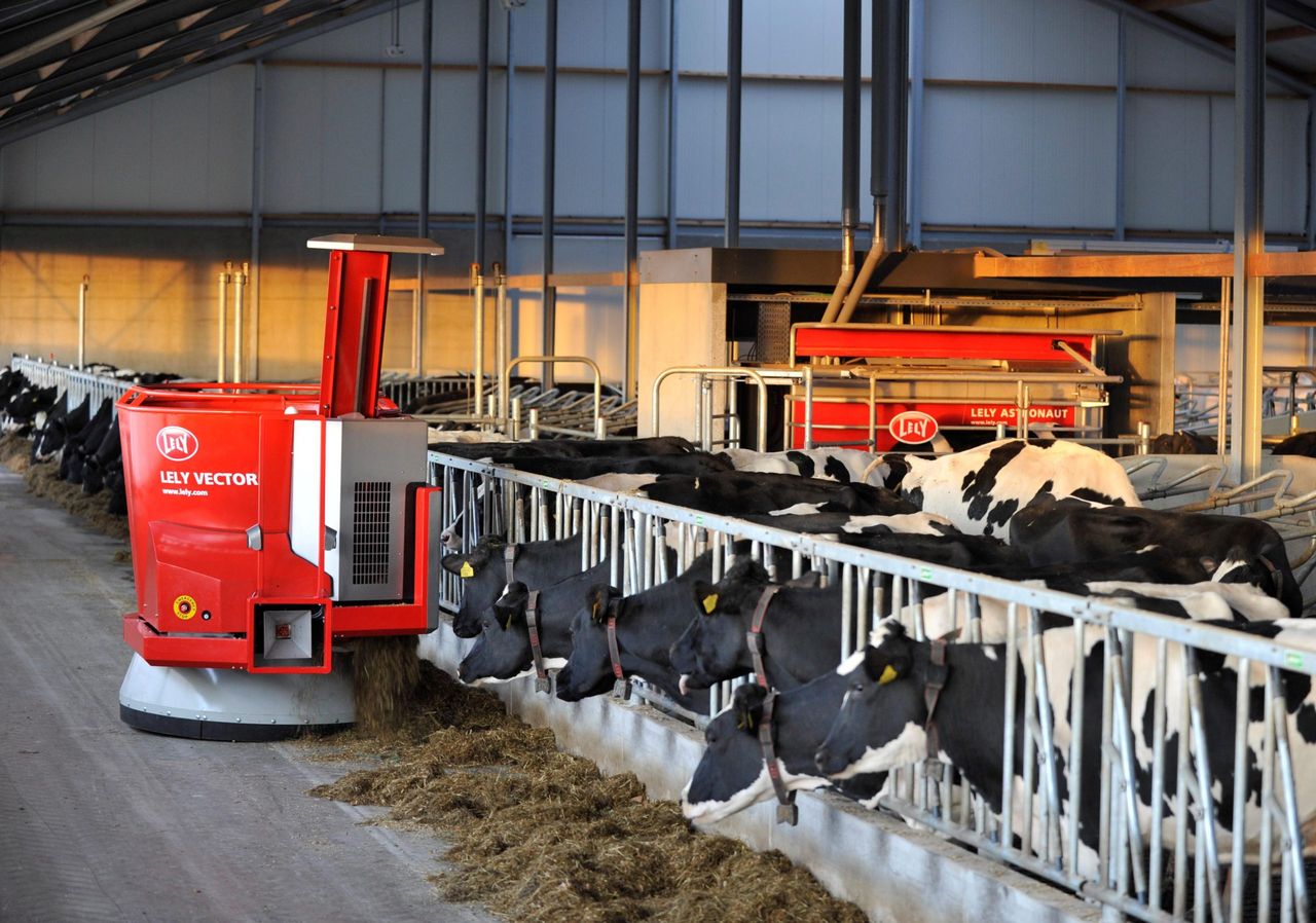 UK dairy farmers feeling confident and investing