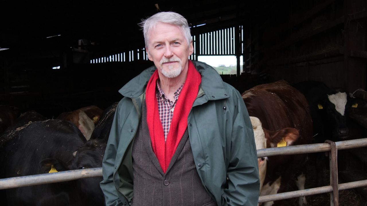 94% of Welsh farmers have received 2024 BPS payments