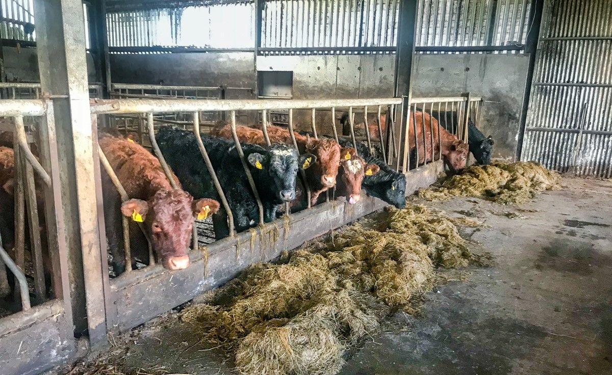 UFU calls for aid package similar to Irish deal