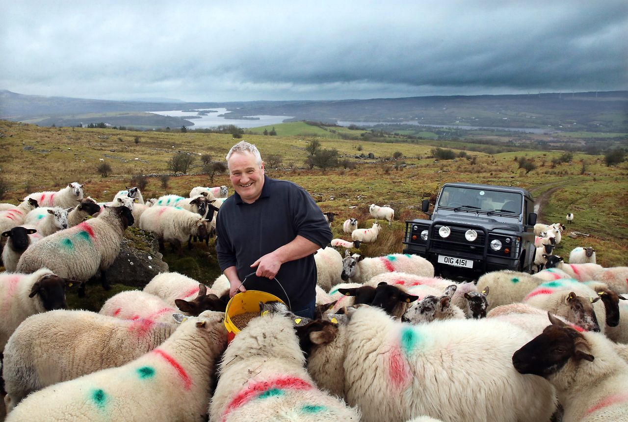 Sheep, sucklers and saving lives… all in a day’s work for one Fermanagh farmer